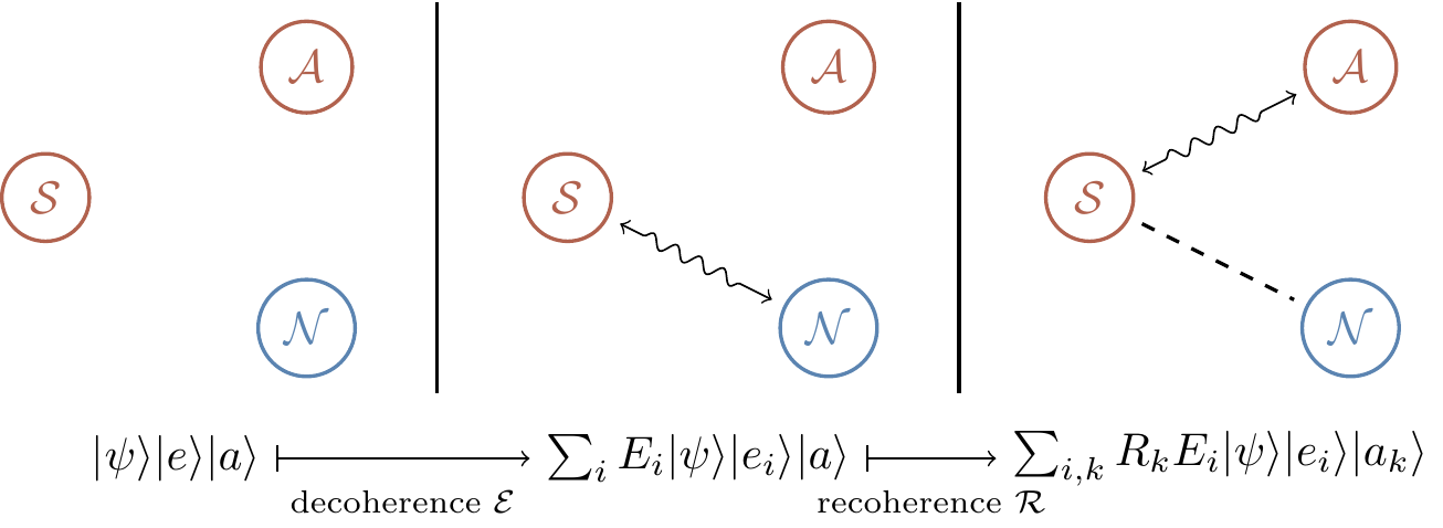 The initial state undergoing decoherence followed by recoherence. Here \mathcal{S} is the system of qubits that we want to work with, \mathcal{N} is the environment, and \mathcal{A} is the ancilla that we introduce. The squiggly arrow represents interactions, and the dashed line represents entanglement.